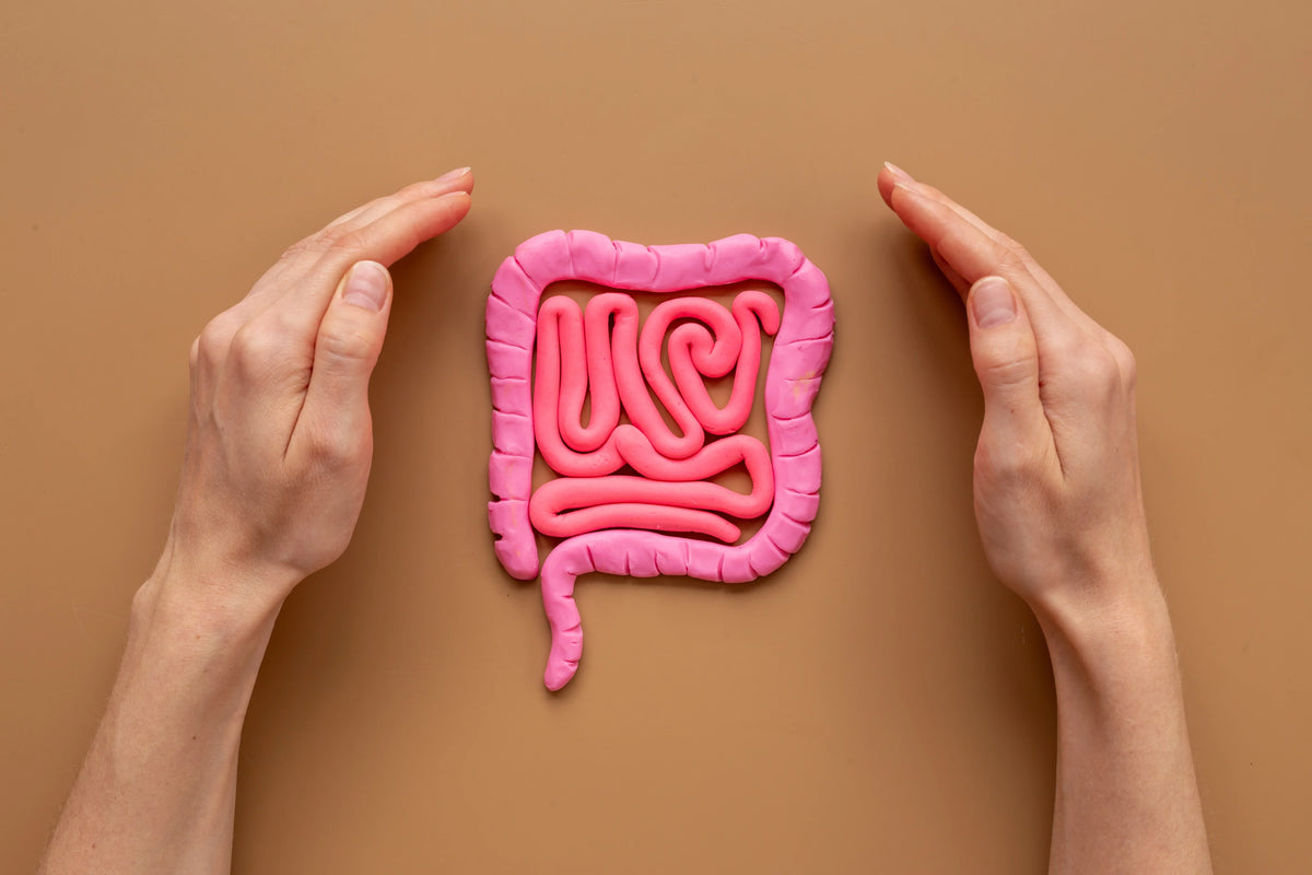What Do You Know About the Gut-Brain Axis?